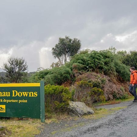 Lone Moose Backpackers Te Anau Exterior foto