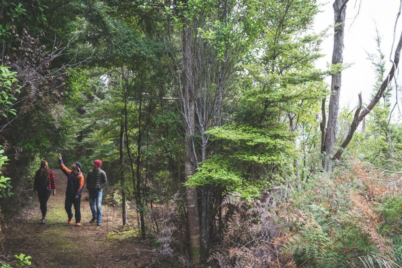 Lone Moose Backpackers Te Anau Exterior foto