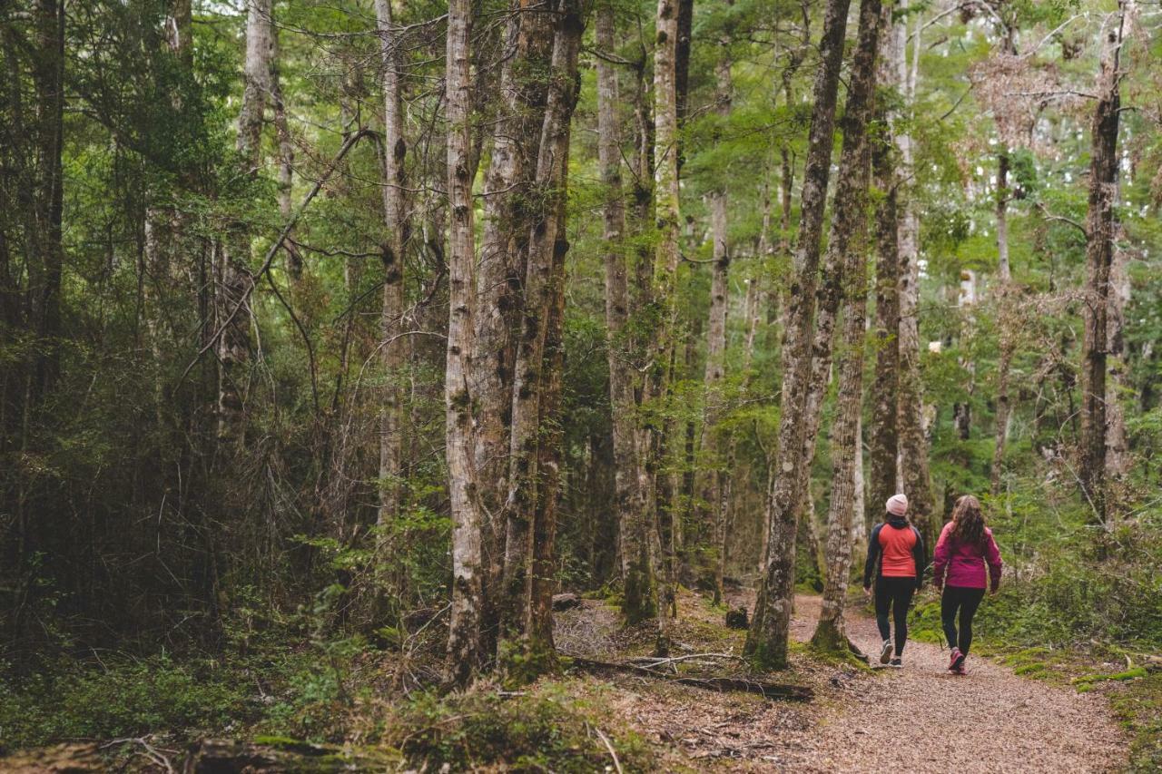 Lone Moose Backpackers Te Anau Exterior foto
